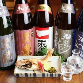 [Special sake selection] Kokuryu, Hakuryu, Ippongi, etc.