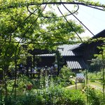 カーブドッチ - 