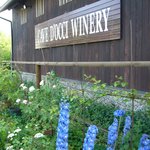 カーブドッチ - 