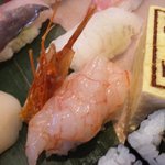 十七代目 紀ノ重 - ナミクダヒゲエビ