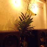 ミンガスコーヒー - 店内2008年3月(2)_ミンガス