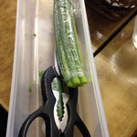 日の出製麺所 - テーブルに置いてあるネギとハサミです。（2015.8 byジプシーくん）