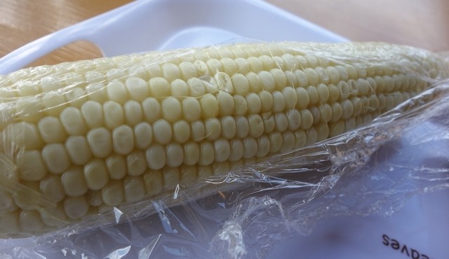 緑豊農場　売店（リョクホウノウジョウ） - 富良野市その他（ジェラート・アイスクリーム）の写真