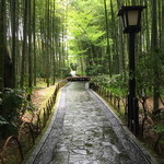 新井旅館 - 竹林の小径は貸し切り状態