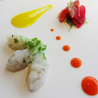 レストラン 花の木 - 前菜はイカのタルタル風です。
                ソースは、赤と黄色のパプリカを使ったもので、それぞれレモンやハーブで味付けされています。
                