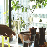 Benoit Alain Ducasse - 