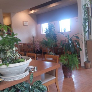 キッチンカプリーズ_2