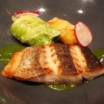 ヤナカ スギウラ - 魚