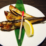 JAZZ居酒屋みね - ハタハタさん
