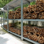 アウストロ - '15 7月中旬