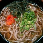 Izumosobadaikokuyahiroshimaekimaeten - そば定食