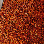 クアコーヒー - ブラジル イエローブルボン(お店にて)