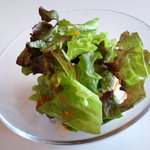 mt.cafe - （日替わりランチ）サラダ。