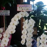 塩結び - 平成27年9月撮影