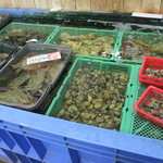 マルトモ水産 鮮魚市場 - イケスの貝
