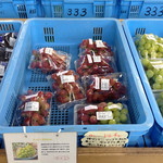 大和路へぐり くまがしステーション - '15 9月上旬