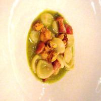 cenci - 