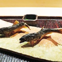 神楽坂 石かわ - 天然稚鮎の炭火焼き、蓼酢