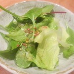 焼鳥みなみ - サラダもしゃきしゃき！