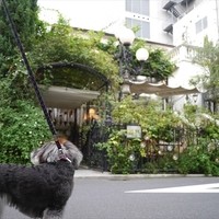 表参道バンブー - 