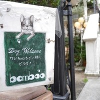 表参道バンブー - 