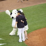 Yankee Stadium - マー君とスヌーピー