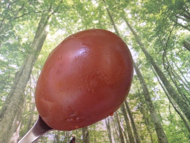 なごみ 本八戸 &ndash; 三春屋B1Fの和食レストラン