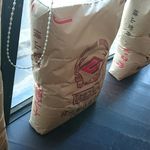 麺創 なな家 - 春よ恋ストレート