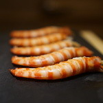 鮨 さいとう - 車海老