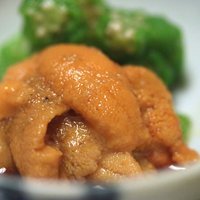 懐石 辻留 - うに拡大