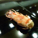 寿司 もり田 - 【頭の炙り】