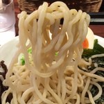 Dukemenhide - 麺アップ