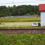 麦わらぼーし - お店から見える外の風景。　電車が通りのどかです♪