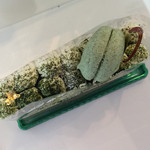 ガトー・デュラ・メール・スリアン - 