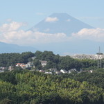 ビブラ ビブレ - 