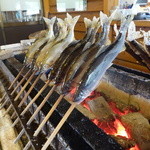 杉ケ瀬ヤナ - 今年も落ちたばかりの鮎です