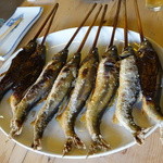 杉ケ瀬ヤナ - ２０１５年もバッチリです（９月）