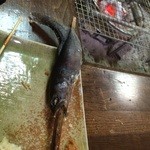 渓山亭 - 岩魚塩焼き