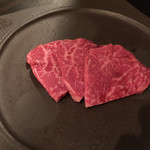 SATOブリアン - カメノコウだったかな？