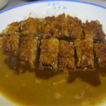 ニューライト - 