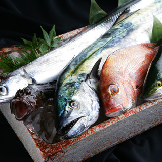 魚菜酒蔵 だいがく_2