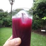 出山果樹園 - ２０１５年８月