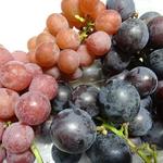 出山果樹園 - ２０１５年８月