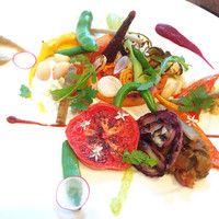 エマーブル - 2015年9月
                Plat principal　野菜料理