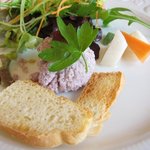 アルベロ - 前菜：麦イカのパテとサラダ、メルバトースト添え