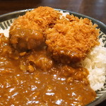 とんかつ 赤坂 水野 - ヒレカツカレー のアップ　(2015/09)