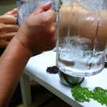 めだかタンタン - 9/5