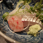 すず木 - しまえびねっとり♡