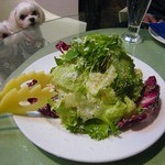 エンボカ 軽井沢 - シーザーサラダ