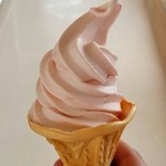 はまなすの丘公園ヴィジターセンター - はまなすソフト（300円）